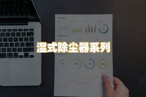 湿式除尘器系列