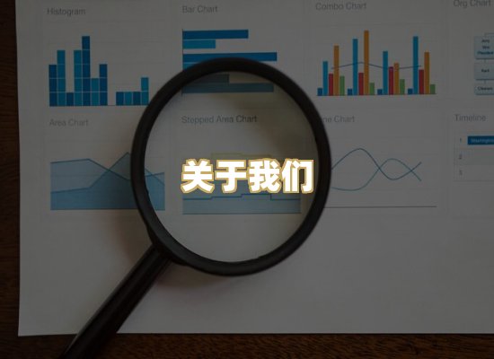 关于我们